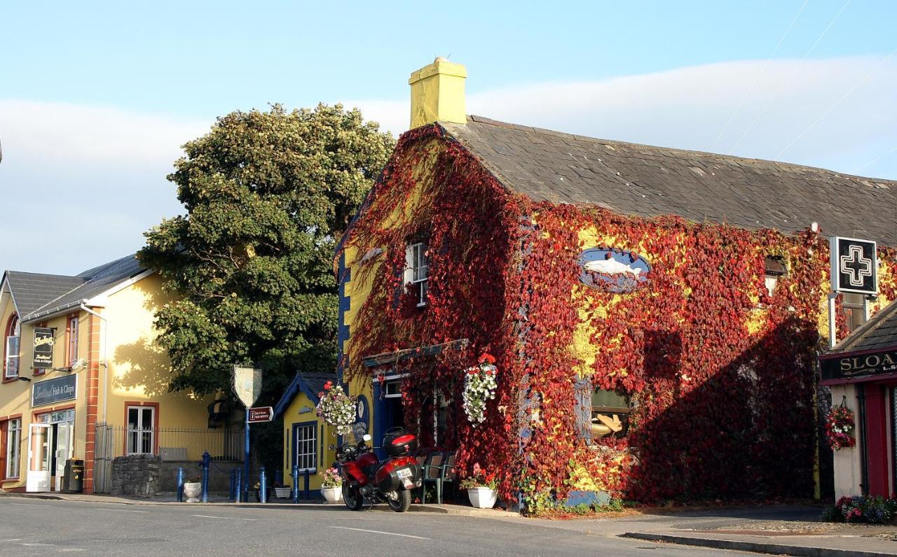 Kingfisher Lodge & Pub Castleconnell Exterior foto